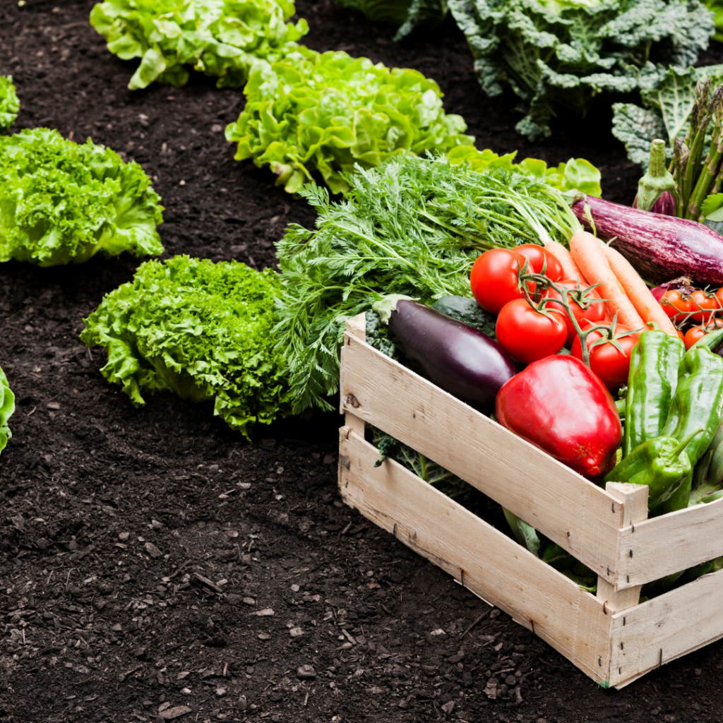 Agriculture